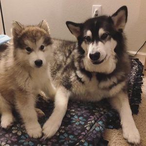 Meet your Posher, Stephannie